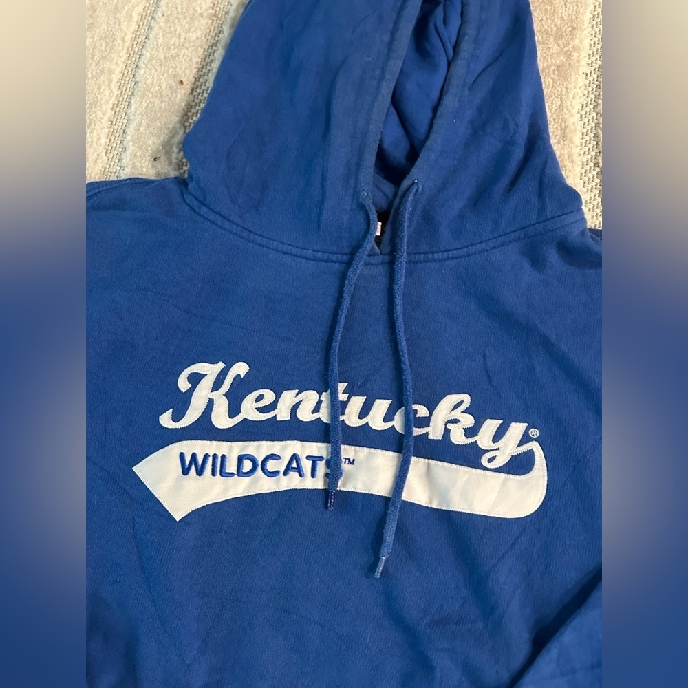 University of Kentucky Wildcats Y2K Style Vintage Hoodie Sweatshirt - L - Picture 4 of 11